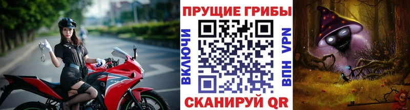 Галлюциногенные грибы Cubensis  Тайшет 